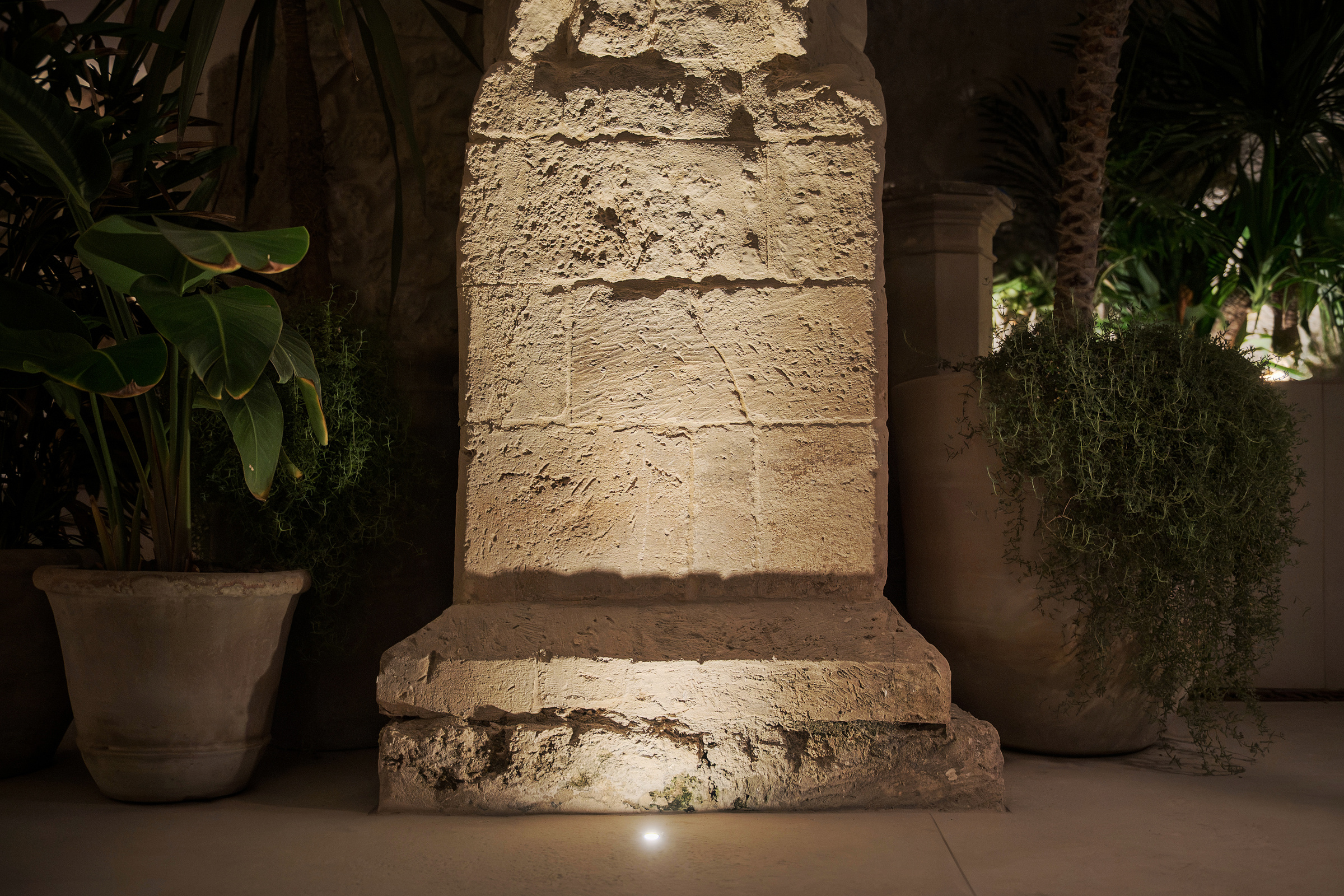 La luce radente rivela la superficie e il basamento in pietra dell’arco, fra le piante della corte.